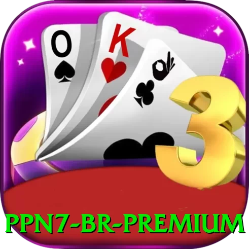 ppn7 BR Premium - pak